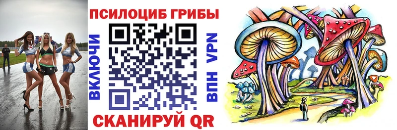 Псилоцибиновые грибы MAGIC MUSHROOMS  ссылка на мегу как зайти  Коломна  наркота 